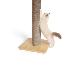 cat scratching a cardboard scratching postの画像