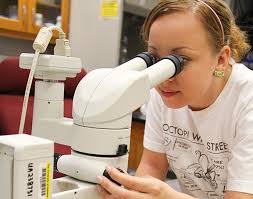 cprofessional dissertation writing service