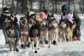 54th Iditarod officially begins, with stiff competition at the top