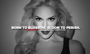 Finest 21 lovable quotes by gwen stefani image German via Relatably.com