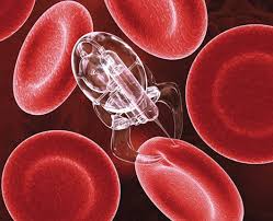 Image result for nanotechnology