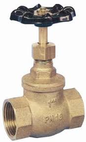 Bronze Globe Valve Brass Valves "PN16, Screwed BSP Female ...
