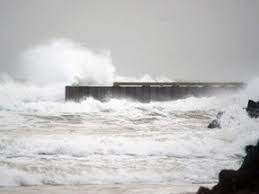 Ocean Week to be celebrated at Iona with films, displays