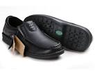 Ecco shoes for men