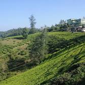 Vagamon