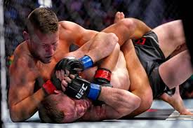 Pat Sabatini vs William Gomis Pick, 05/09/2026 Predictions UFC Vegas 117 Odds
