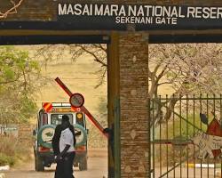 Image of Sekenani Gate Masai Mara