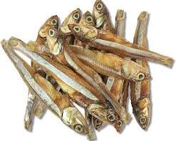 Gambar Anchovies fish