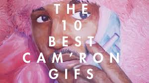 Image result for cam'ron pink fur