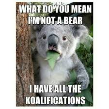 Why so cute? #Cute #Koala | Quotes | Pinterest | Koalas and So Cute via Relatably.com