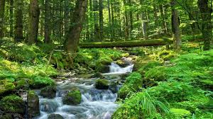 News source: Le Figaro