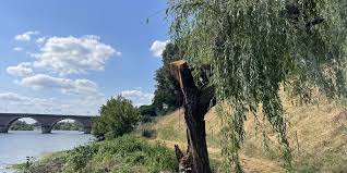 Sud Ouest - News update
