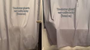 Viral Animal and Baby Antics: Cats, Showers, and Energetic Workouts