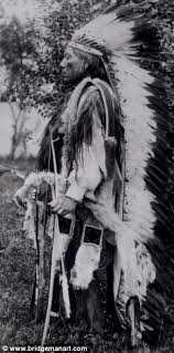 Image result for Comanche