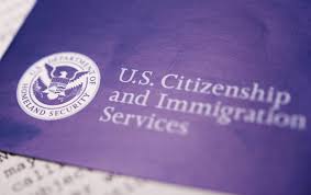 Image result for homeland security