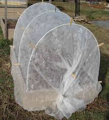 Bildergebnis für row cover