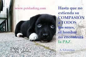 Resultado de imagen para imagenes celebres de la vida