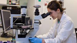 Image result for scientist working in the lab