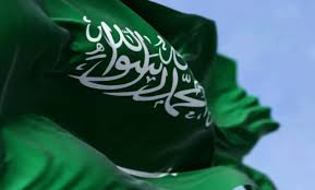 المواطن نيوز - Almowaten News - News update