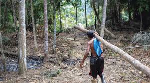 Image result for temuan people