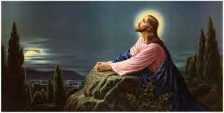 external image images?q=tbn:ANd9GcSmJdmvi_rDcfRhZ90jcsu36MA-pcpTtu0sQNkVB4BEGEH07QTd