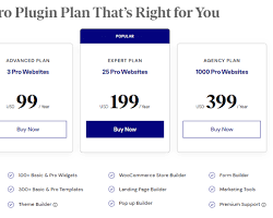 Elementor Agency Plan pricing