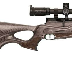 Daystate Wolverine R .35 air rifle