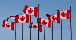 CTV News - News update