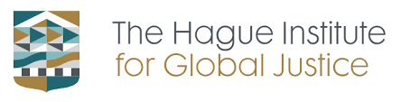 Image result for the hague