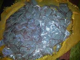 Image result for images of baba udi