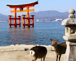 宮島 Hiroshimaの画像