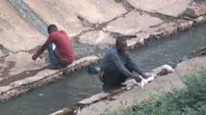 Image result for Defecation