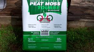 Image result for peat moss