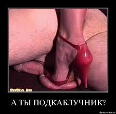 images?q=tbn:ANd9GcSmfkh3w6aBEX51jBPvtoMYGfPQ11ELTD4Wl2YPWKl1716xlgXy