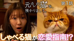 第1話 しゃべる猫が恋愛指南！？
