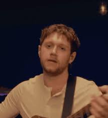 Niall Horan Announces 'Dinner Party' Album Inspired by Girlfriend