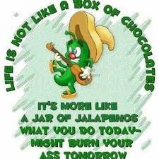 cool | Life Quotes to Live via Relatably.com