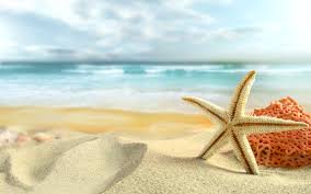 Image result for summer