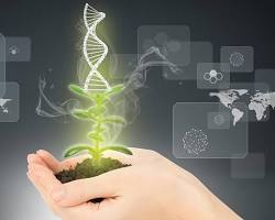 Image of Plant breeding and genetics
