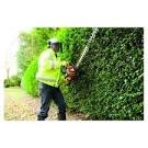 ACE International Direct