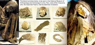 Résultat de recherche d'images pour "elongated skulls"