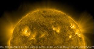 Клопс - новости Калининград - News update