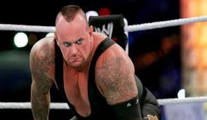 Image result for brock smiles at undertaker