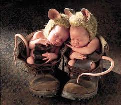 komik resimler ile ilgili g&ouml;rsel sonucu