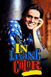 Image result for in living color