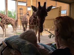 Corine (45) is vrijwilliger voor Stichting Ambulancewens | De Telegraaf