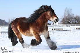 images?q=tbn:ANd9GcSnivaLeUzubivlxP_Fu2P