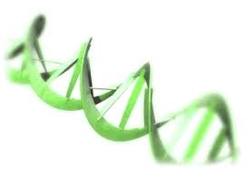 Résultat de recherche d'images pour "white dna"