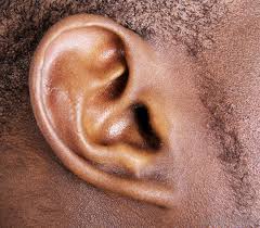 Image result for ear