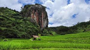Image result for watu semaur